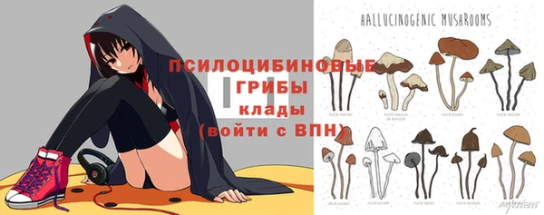 индика Алексеевка