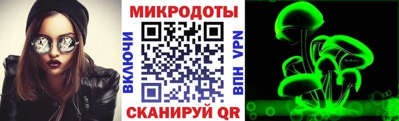 купить закладку  Южно-Сухокумск  Псилоцибиновые грибы Psilocybine cubensis 